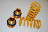 Ohlins-Megane-3-250-05.jpg