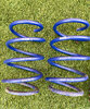 Megane MK3 Lowering Springs.jpg