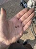 IMG_7660.JPEG